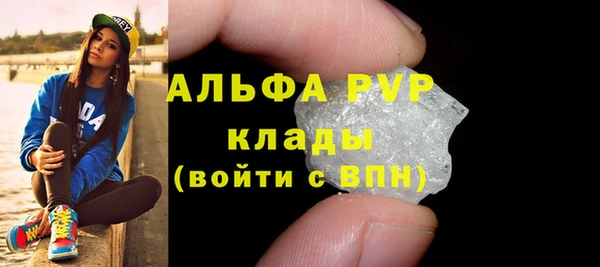 шишки Абаза