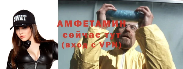 шишки Абаза