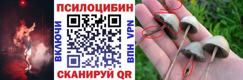 Псилоцибиновые грибы Psilocybe  Белебей 