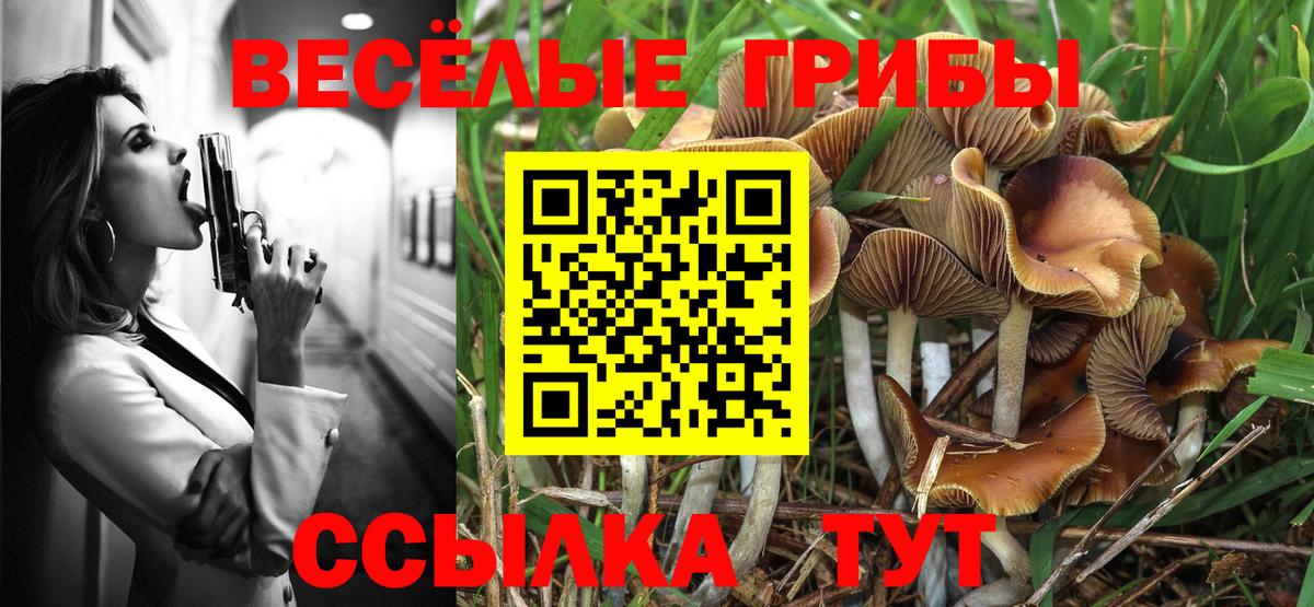 Псилоцибиновые грибы GOLDEN TEACHER Белебей