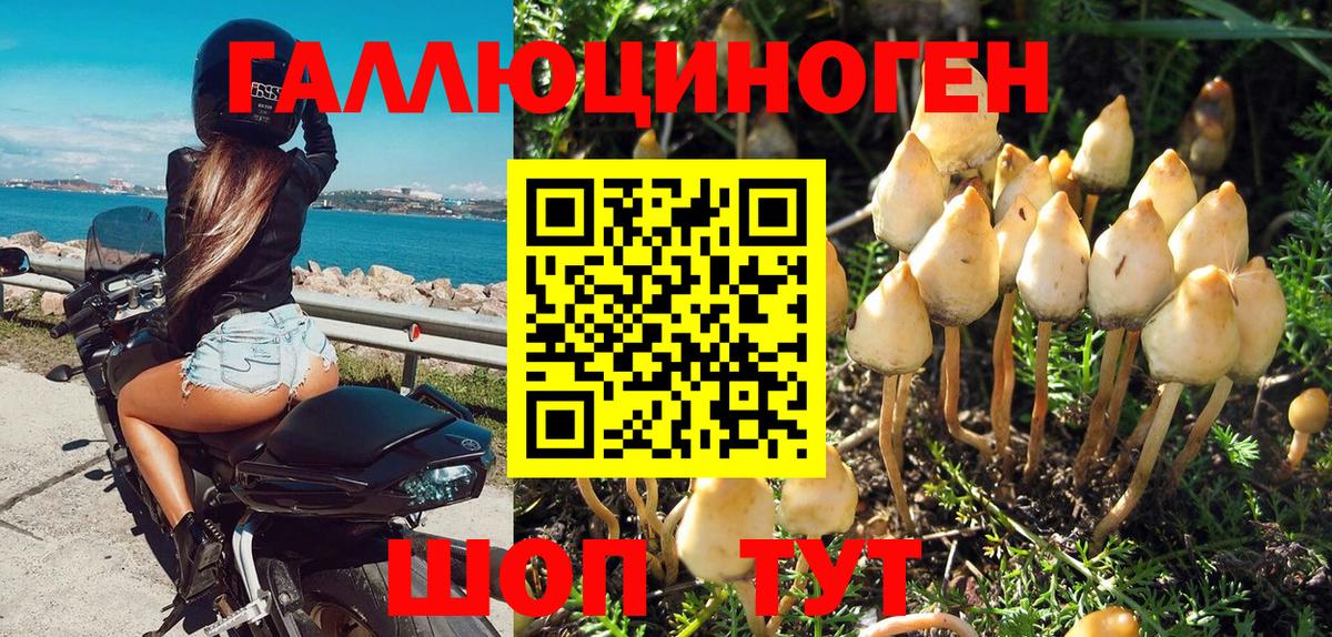 Псилоцибиновые грибы мухоморы  Вход с VPN  Белебей 